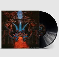 Dismember - Like An Ever Flowing Stream (Black LP)